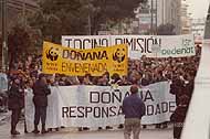manifestación contra la destrucción de Doñana