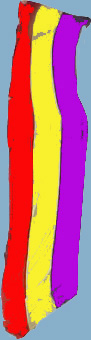 tricolor21copia.jpg (20318 bytes)