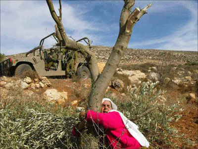 Mujer agarrada al arbol