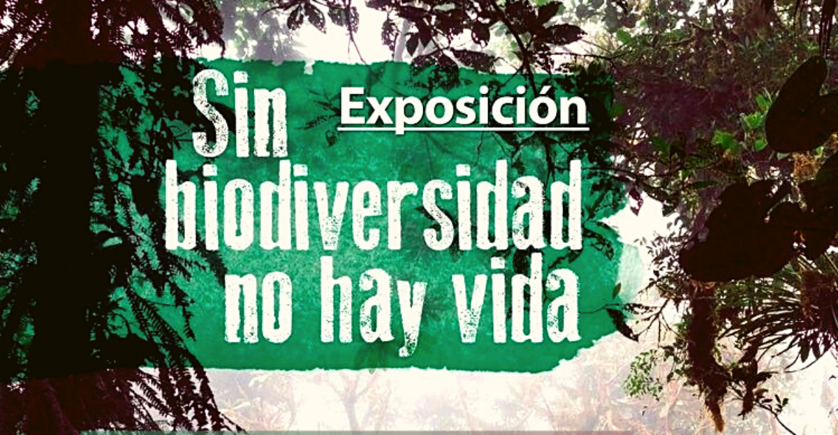 Llega a El Puerto la exposición de Ecologistas en Acción “Sin Biodiversidad no hay vida”