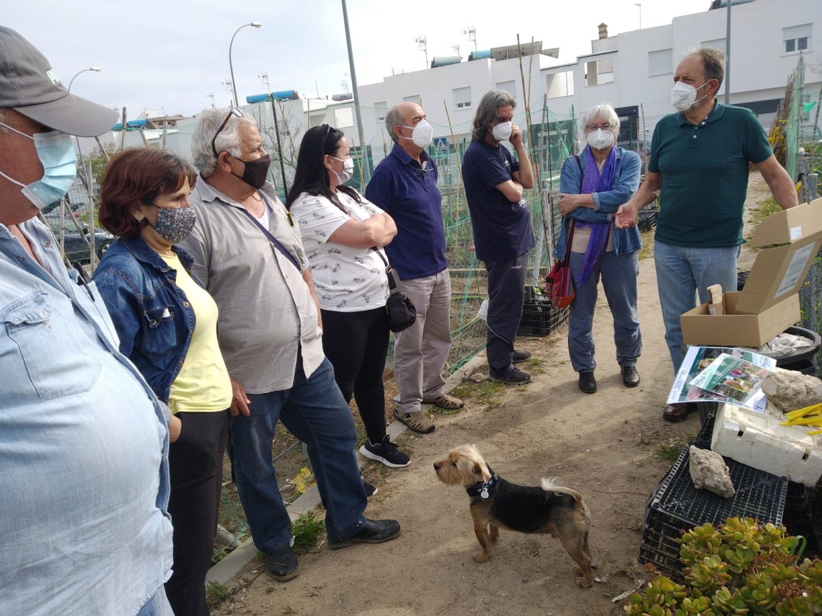 Ecologistas en Acción entrega semillas en los huertos urbanos de Caja de Aguas