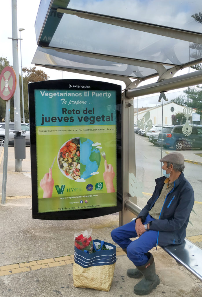 Jueves vegetariano jueves marquesina safa