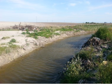 Después de siete años del arranque de vegetación y el desvío del cauce del arroyo Salado, la Junta sigue sin obligar a su restitución