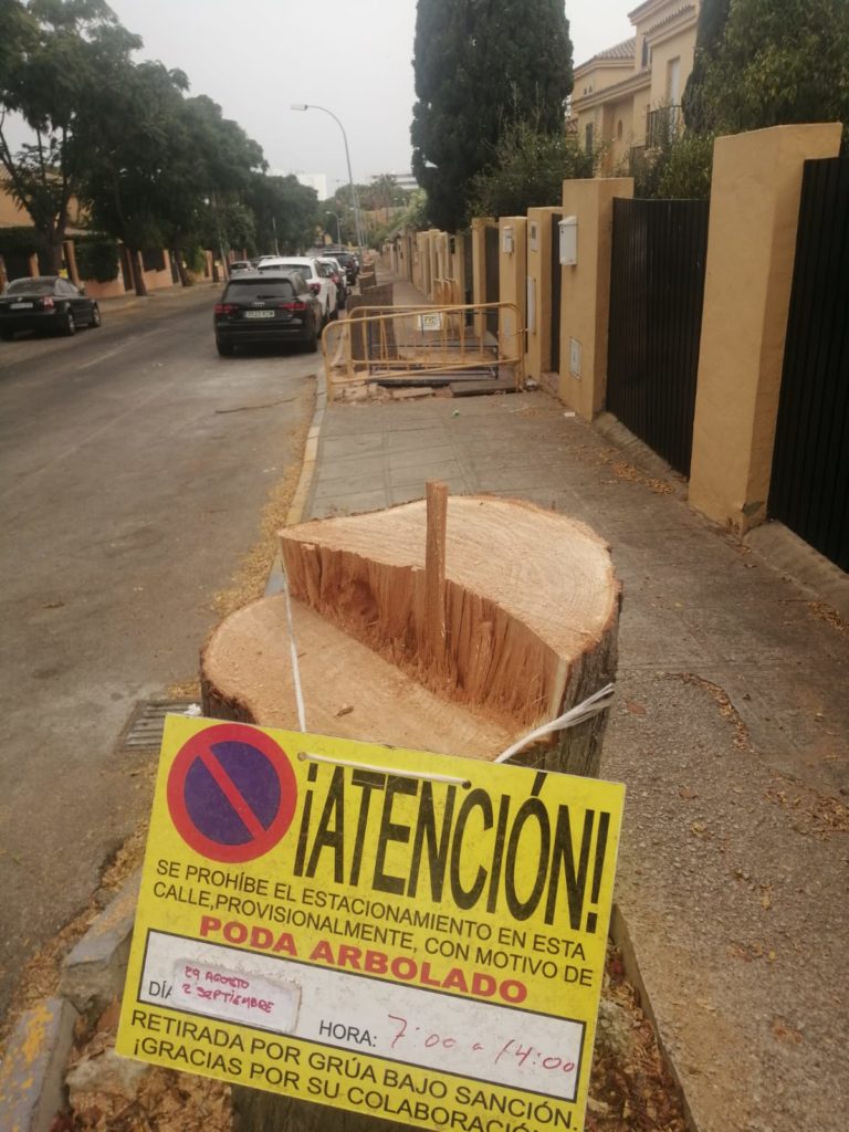 tala ancla