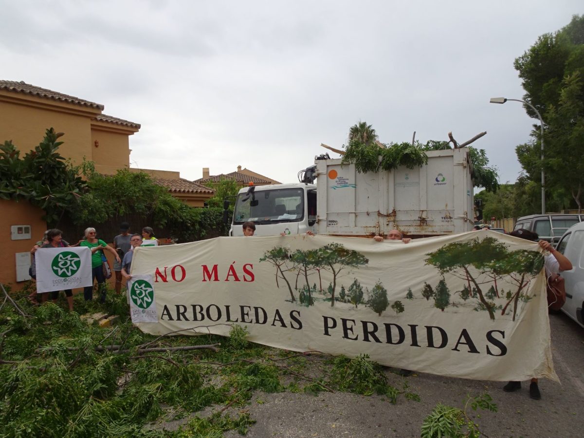 Activistas de Ecologistas en Acción paralizan la tala de árboles en El Ancla