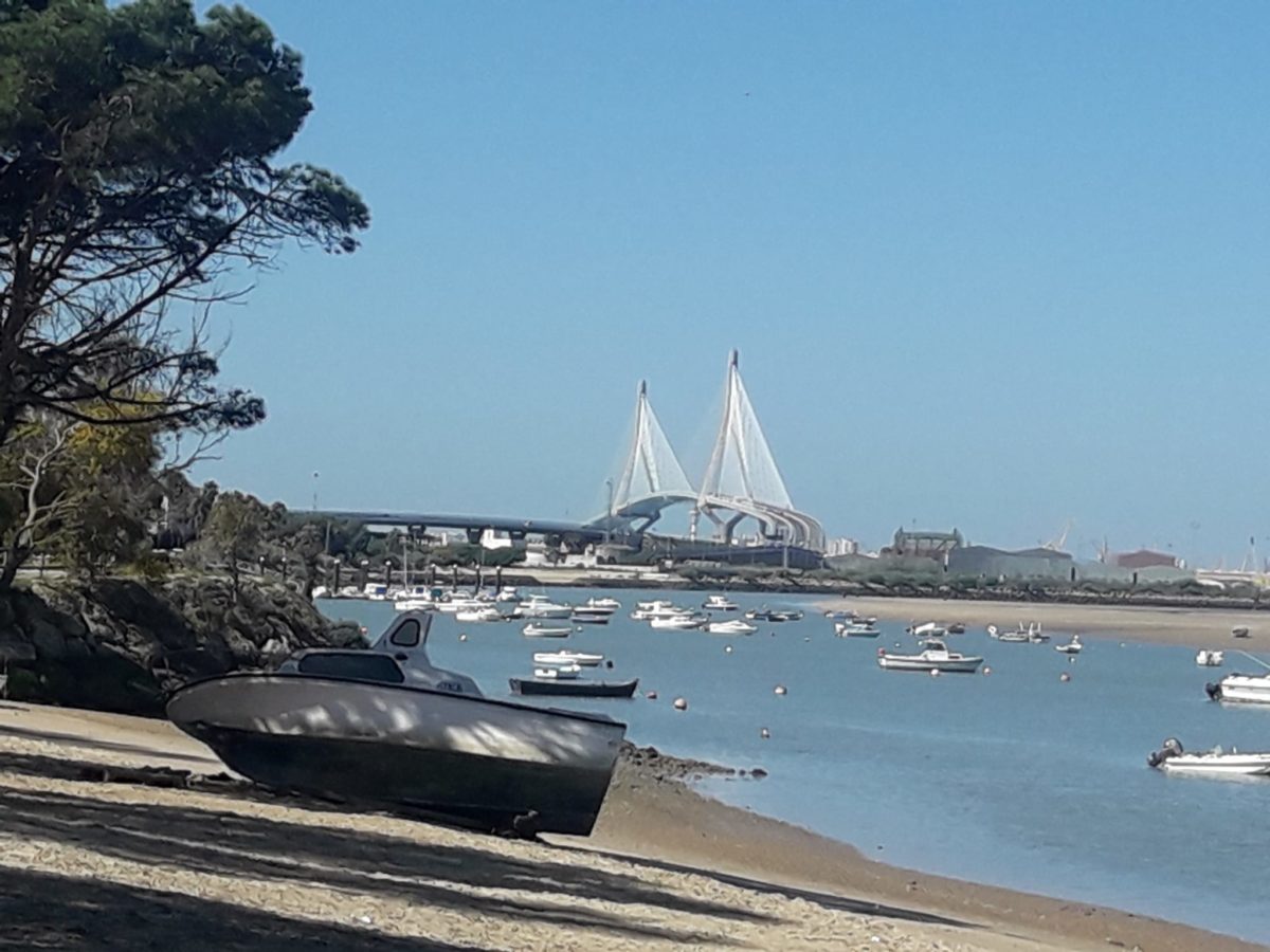 Ruta en bici por Los Toruños hasta Río San Pedro