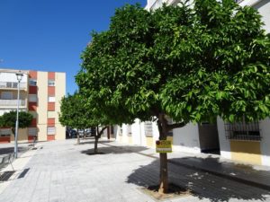 plaza maría auxiliadora naranjos15 7 23 (2)