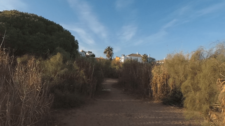 Recorrido botánico-histórico por La China