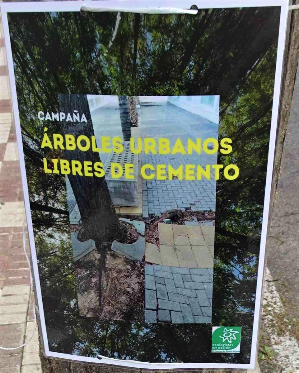 Ecologistas liberan árboles del cemento de los alcorques