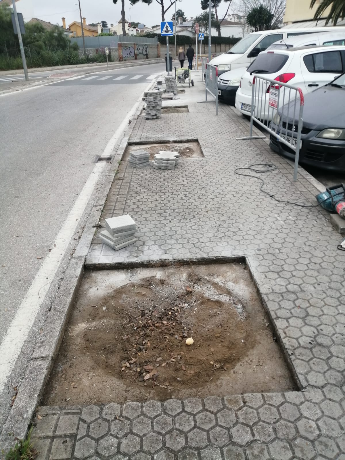 Ecologistas en Acción denuncia el cierre de alcorques de la avenida del Cisne