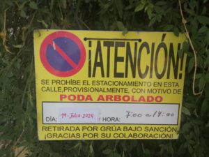 imagen de whatsapp 2024 07 17 a las 20.11.00 afe6f664