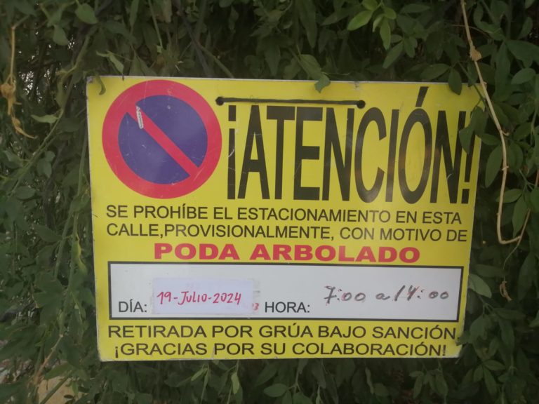 imagen de whatsapp 2024 07 17 a las 20.11.00 afe6f664
