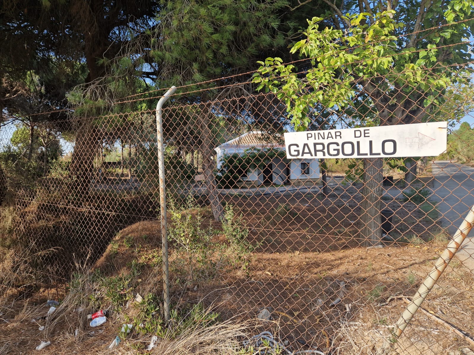 Ecologistas en Acción presenta alegaciones contra un camping de lujo en el pinar de Gargollo