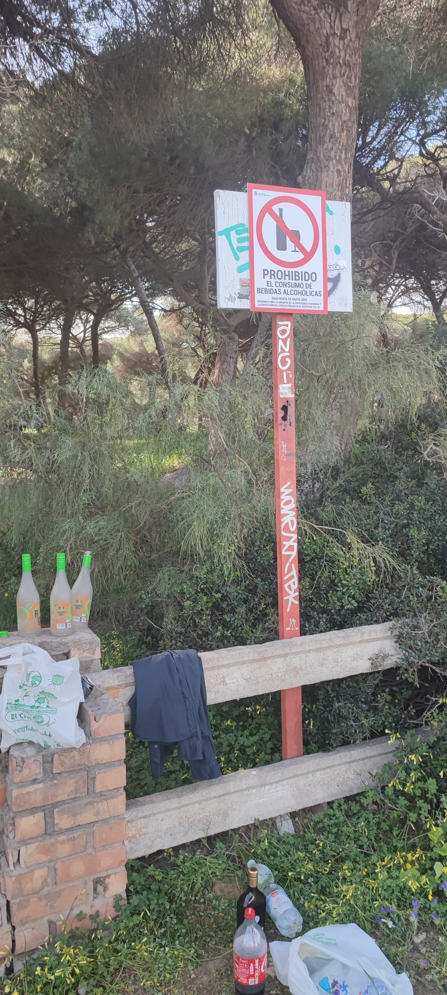 Vuelven las botellonas al Puerto