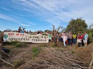 imagen de whatsapp 2025 05 16 a las 20.57.00 0106a792