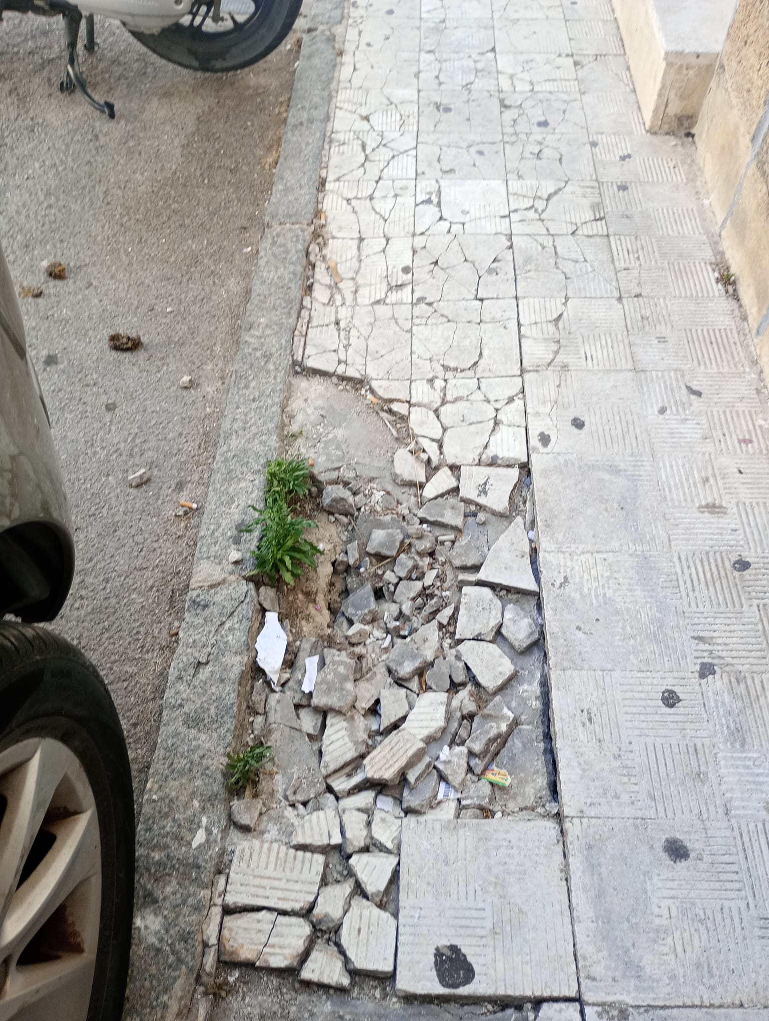 Cotilleos de la Calle Zarza
