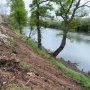 Resultado de la tala de rboles y arbustos en la Ribera del Pisuerga. Foto: (...)