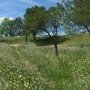 Las Áreas Homogéneas, fruto del boom urbanístico especulativo, hubieran (...)