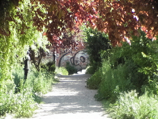 corte Canal de Castilla