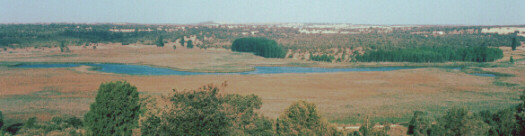 Laguna Ojos de Villaverde