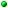 botonverdepequeno.gif (857 bytes)