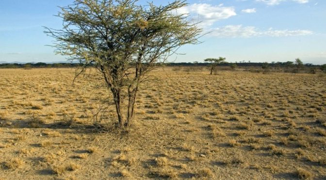 15 de Abril 2023  Boletín Nº 280 de la CEAM-imagen: tierra seca