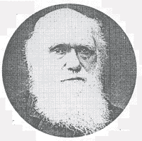 Darwin