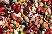 alubias poderosas