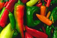 verduritas frescas de la huerta de Carmelo