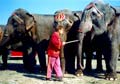 ZOOS Y CIRCOS Castigos y encierro a perpetuidad. Los animales en su medio, no son bufones ni presos