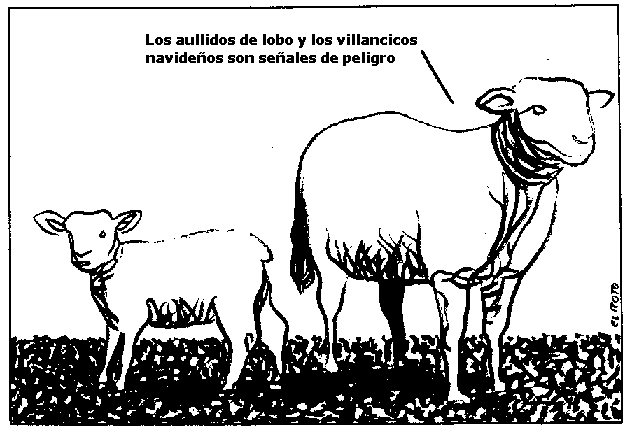 no necesitas matar lo que no necesitas comer