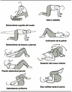 DESCRIPCIÓN FOTO