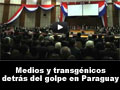 Acceda al vídeo activando sobre la imagen