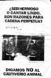 lacrueldadcosilla.gif (39230 bytes)